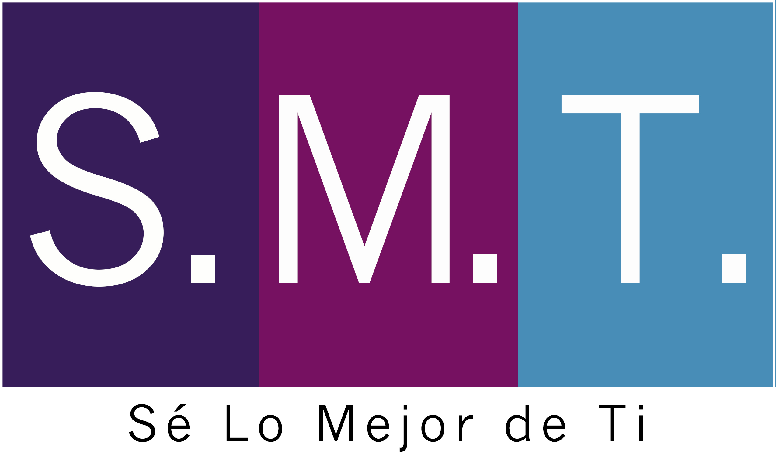 smtlogo